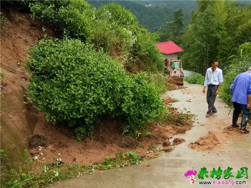 微信图片_20200618195238.webp