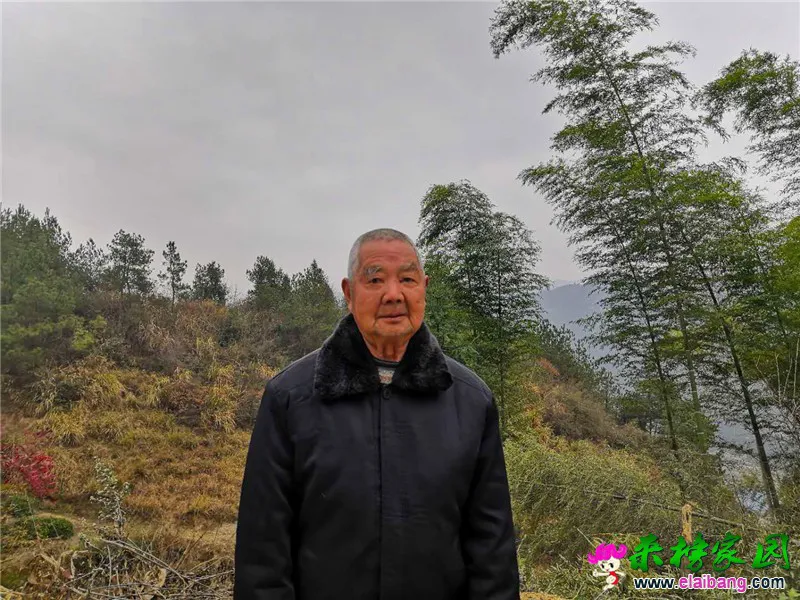 微信图片_20200618205704.webp