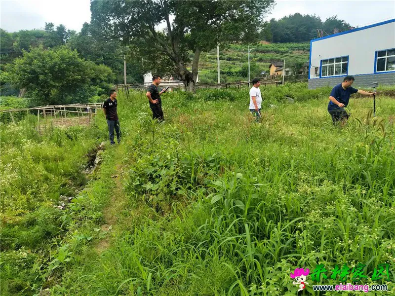 微信图片_20200619211100.webp