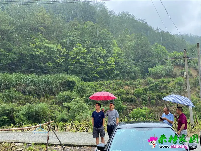 微信图片_20200620203509.webp