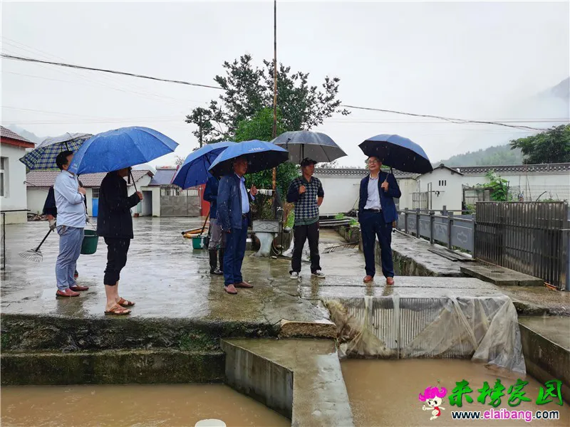 微信图片_20200621201239.webp