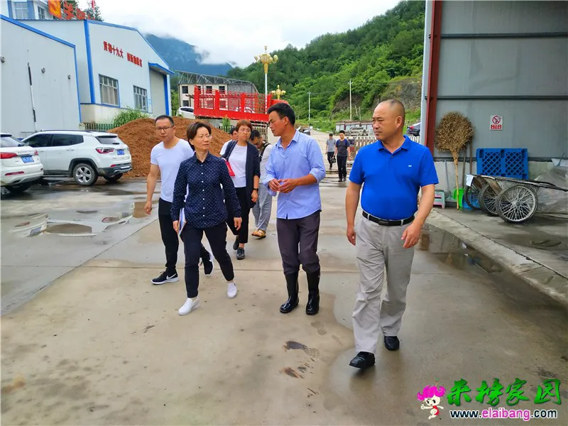 微信图片_20200623205707.webp
