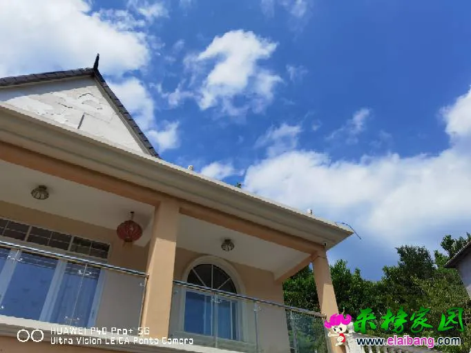 223148tzym6mww5yvpymm5.webp