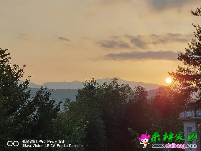 223151ocdfce9fqd3c1r41.webp
