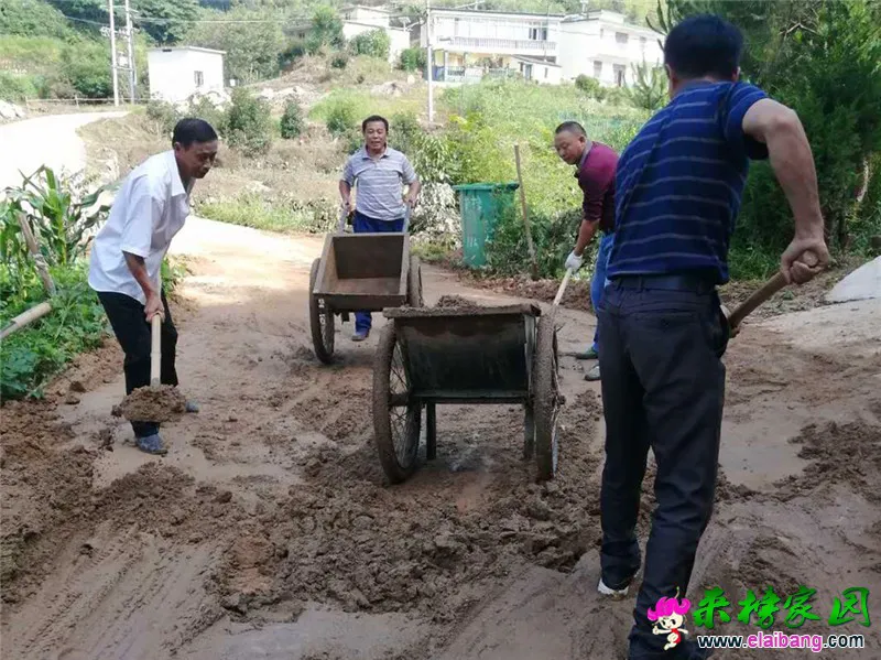 微信图片_20200625221448.webp
