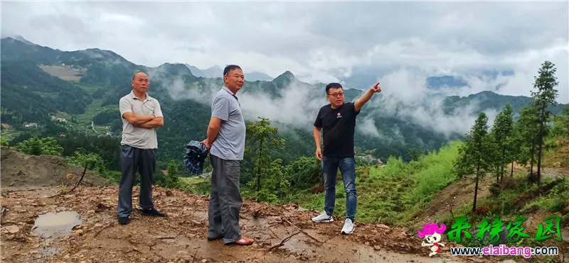 微信图片_20200629213251.webp