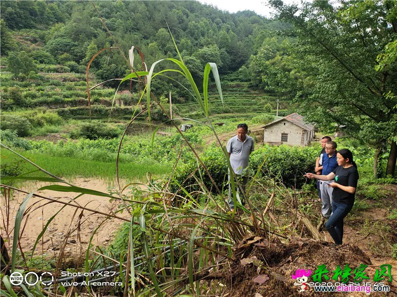 微信图片_20200629213350.webp