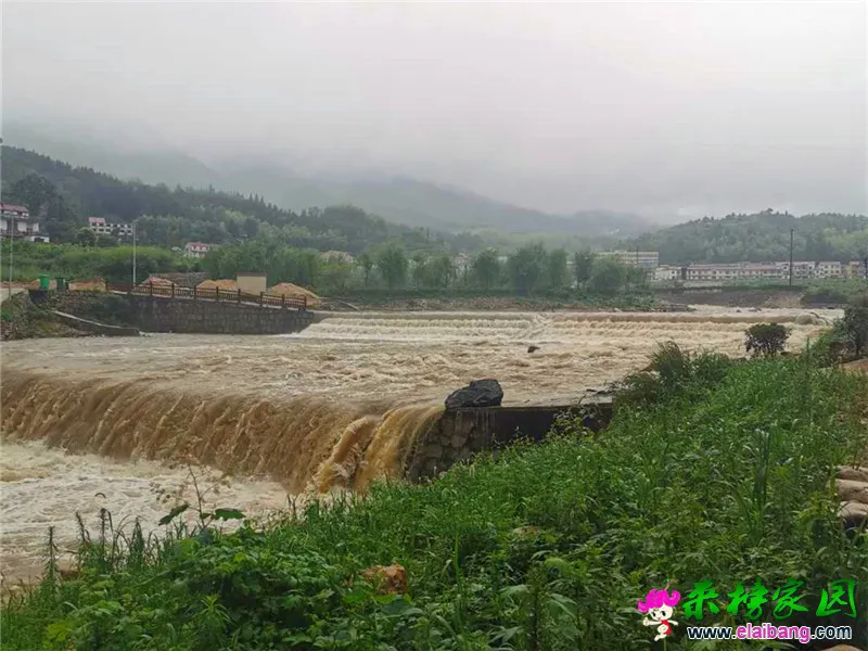 微信图片_20200705203830.webp