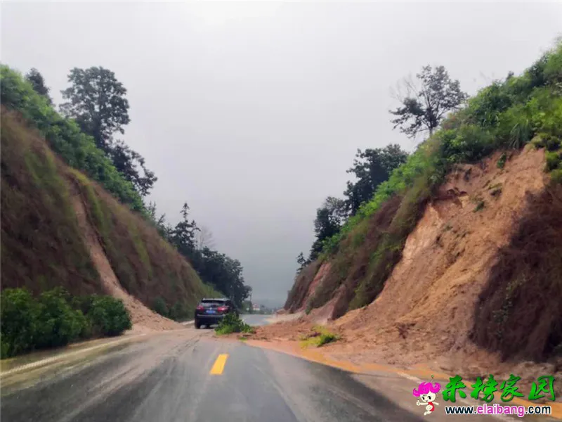微信图片_20200706070948.webp