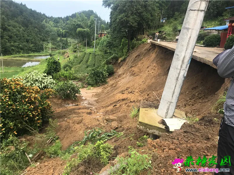 微信图片_20200707202809.webp