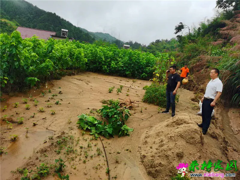 微信图片_20200707202902.webp