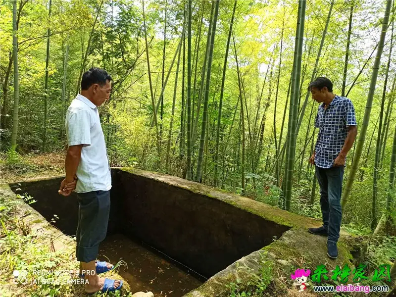 微信图片_20200709203328.webp