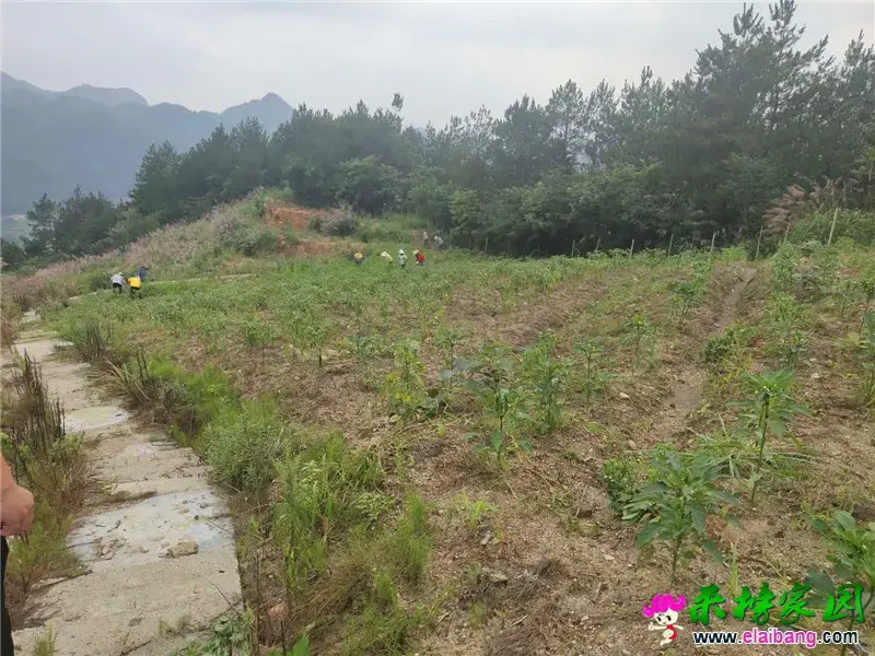 微信图片_20200709203350.webp