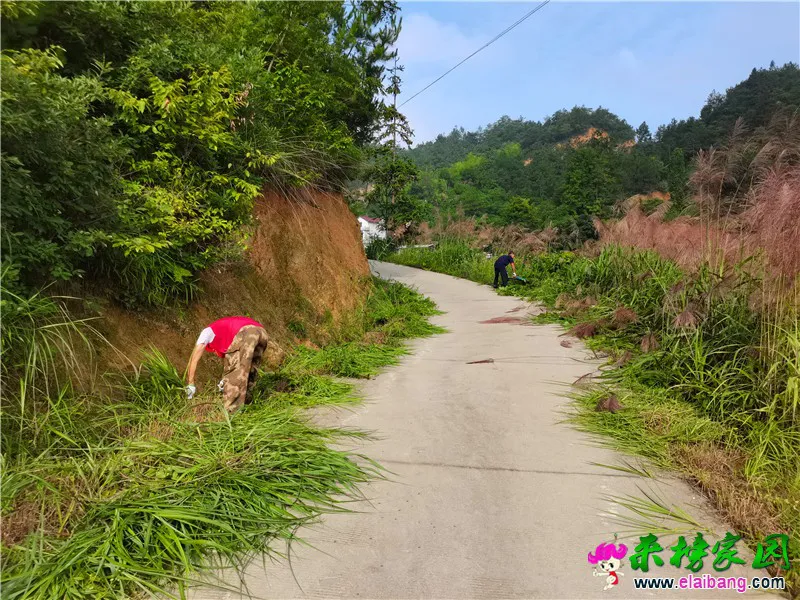 微信图片_20200710210834.webp