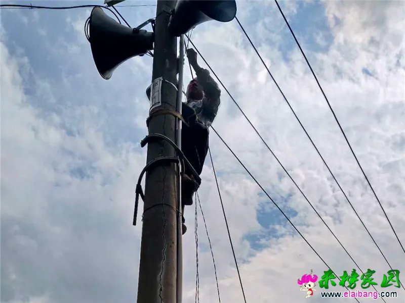 微信图片_20200717174050.webp