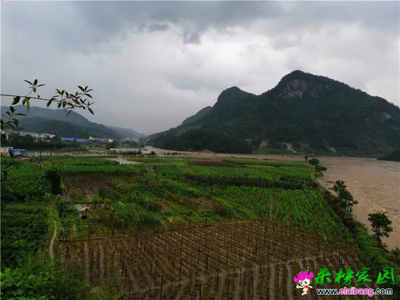 微信图片_20200718161748.webp