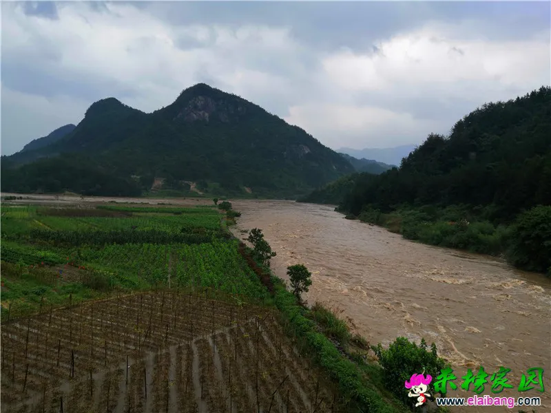 微信图片_20200718161759.webp