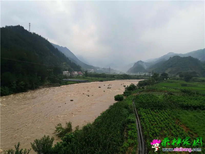 微信图片_20200718161743.webp