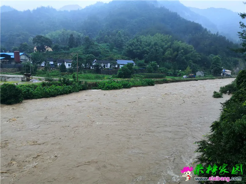 微信图片_20200718161818.webp