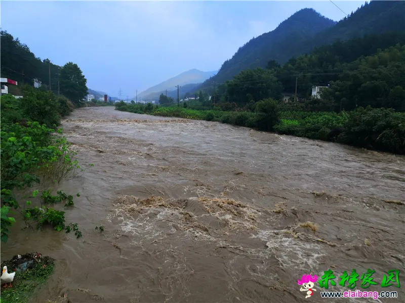 微信图片_20200718161831.webp