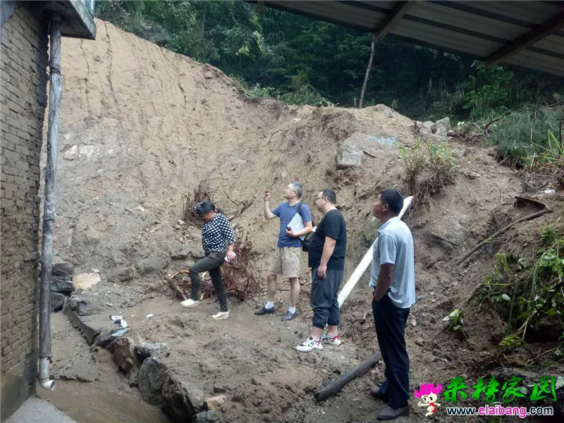 微信图片_20200718192936.webp