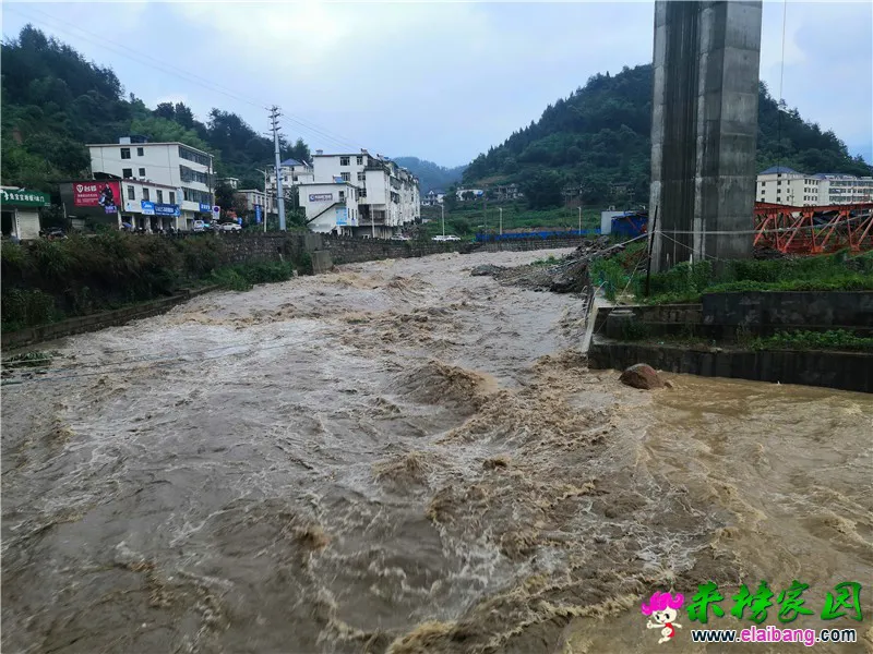 微信图片_20200718161841.webp