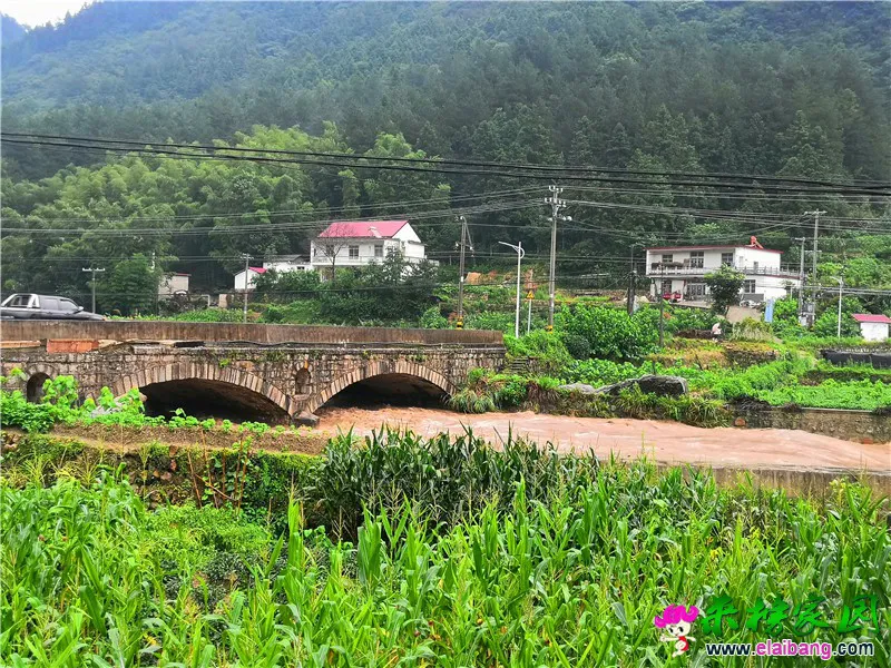 微信图片_20200718161821.webp