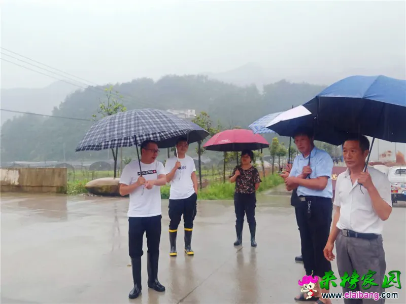 微信图片_20200718193005.webp