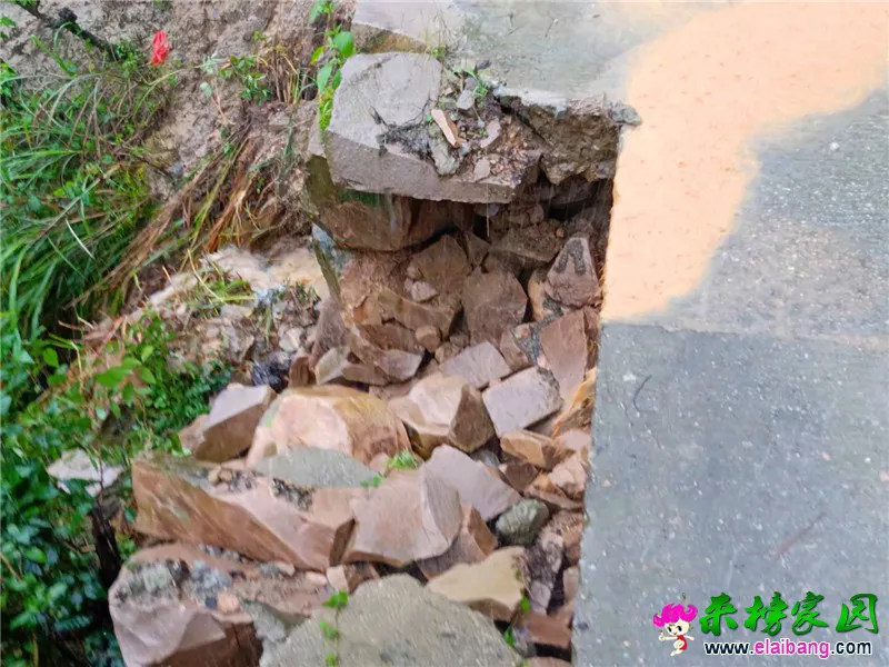 微信图片_20200719201208.webp