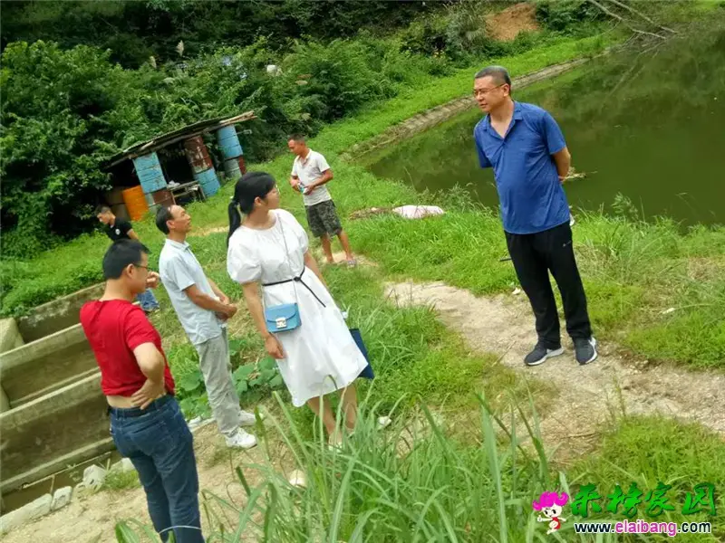 微信图片_20200723193210.webp