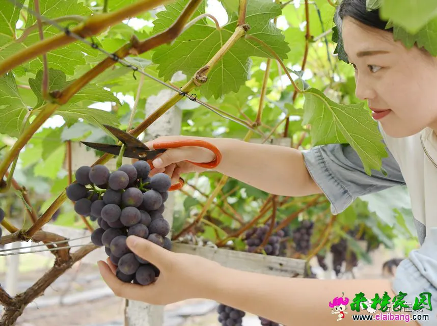 微信图片_20200724185156.webp