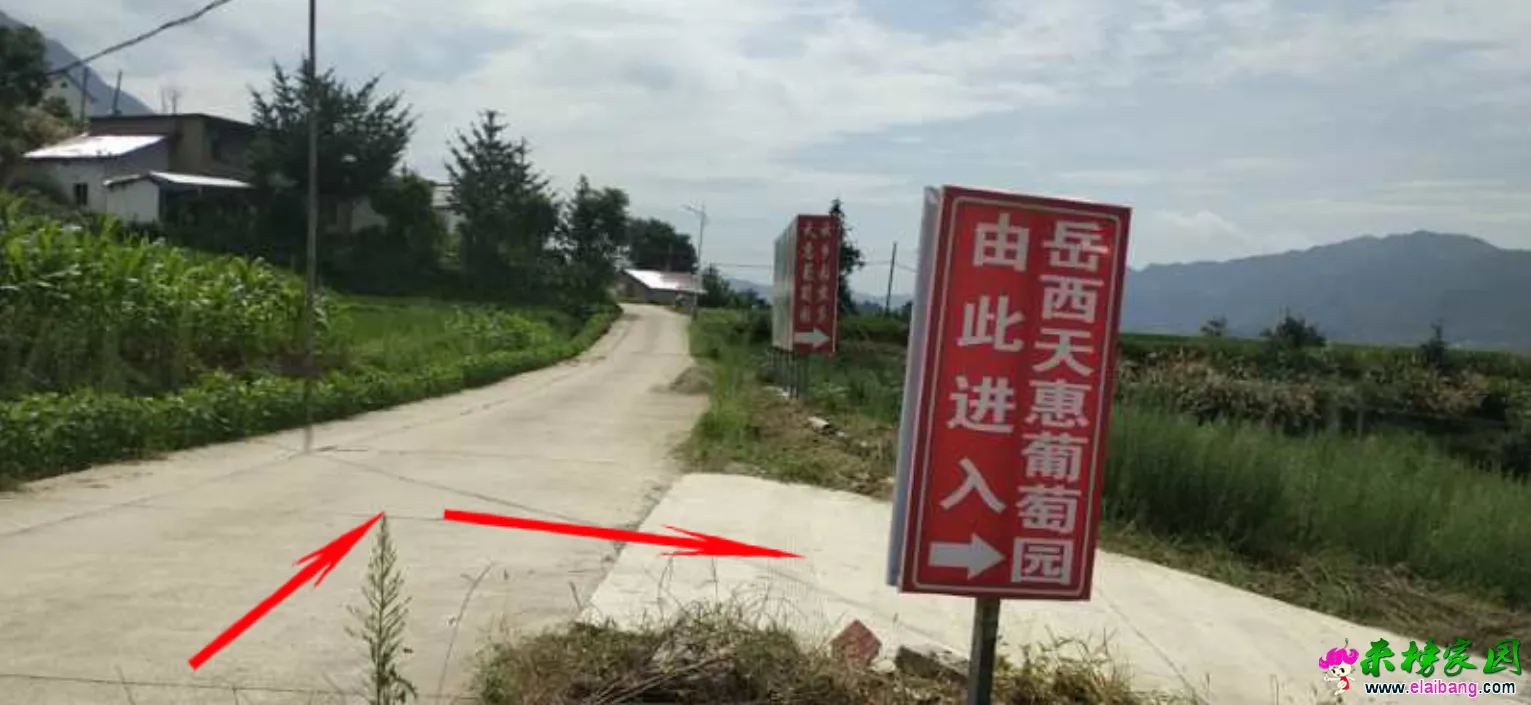 微信图片_20200724190352.webp