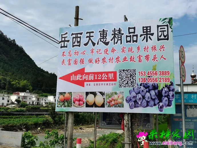 微信图片_20200724194418.webp