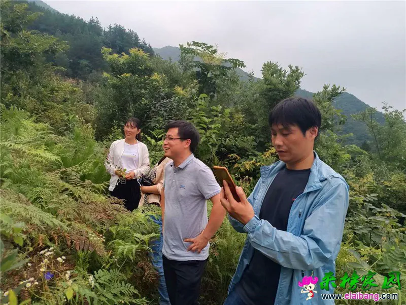 微信图片_20200725010351.webp