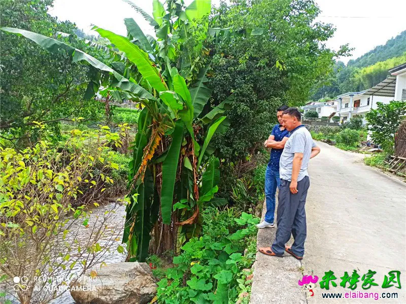 微信图片_20200729211302.webp