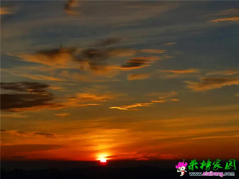 微信图片_20200803172332.webp