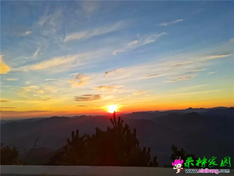 微信图片_20200803172344.webp