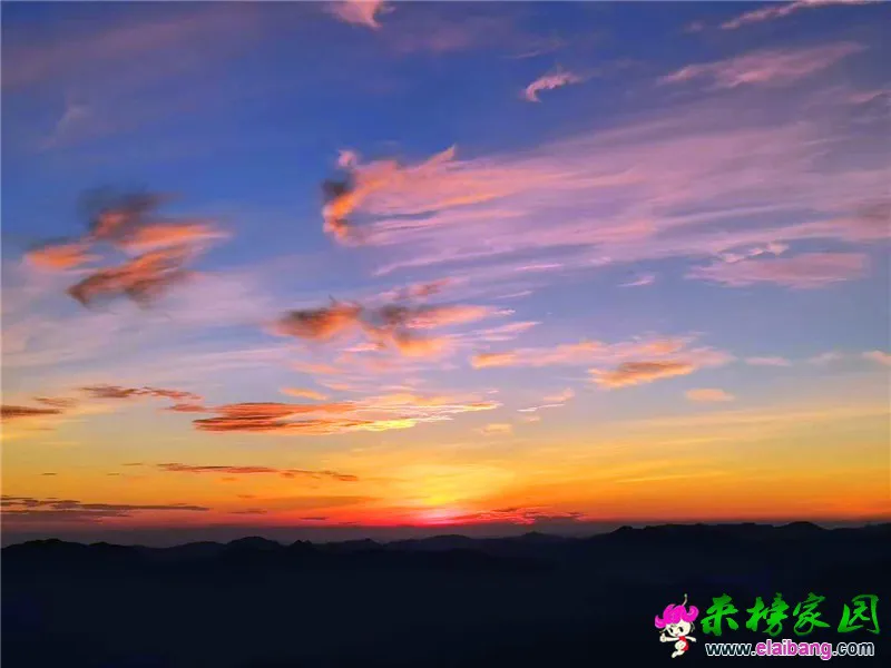微信图片_20200803172327.webp