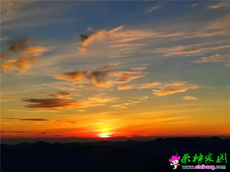 微信图片_20200803172335.webp