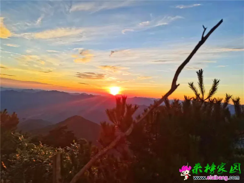 微信图片_20200803172348.webp