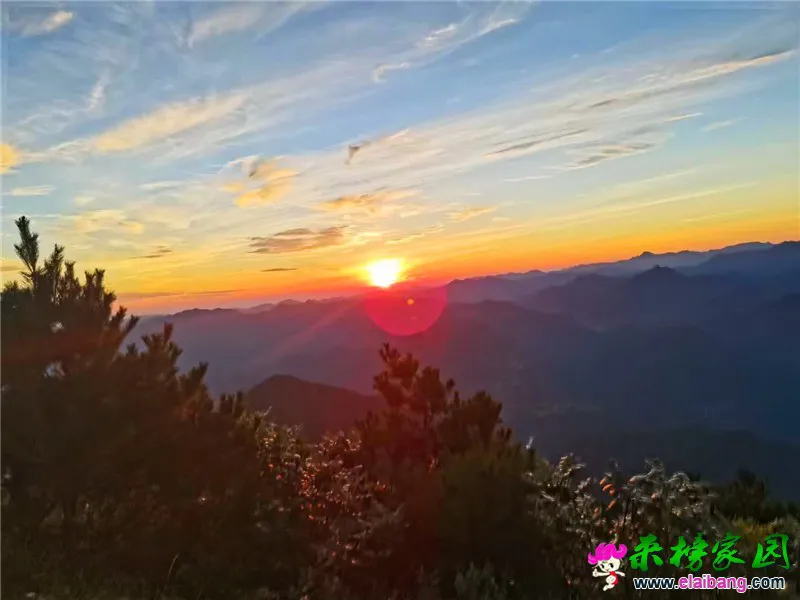 微信图片_20200803172351.webp