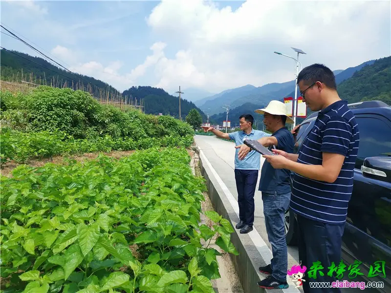 微信图片_20200805171518.webp
