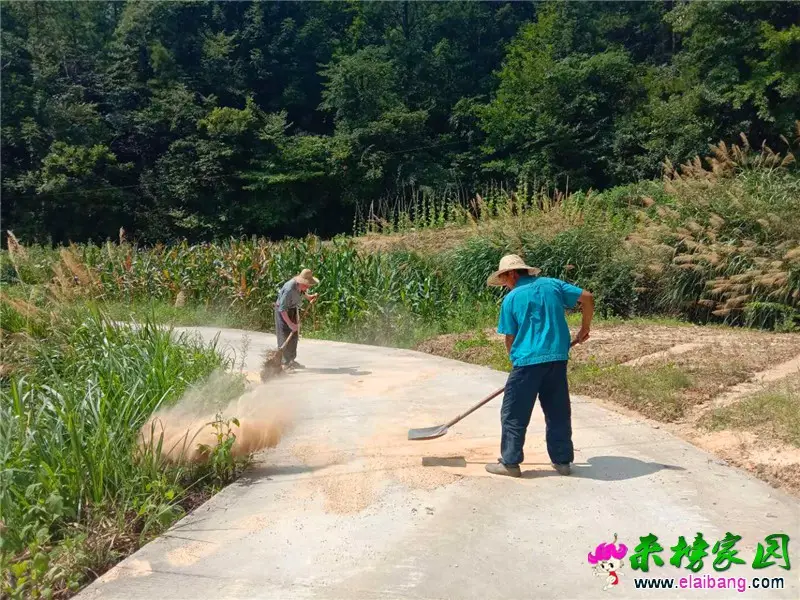 微信图片_20200805171510.webp