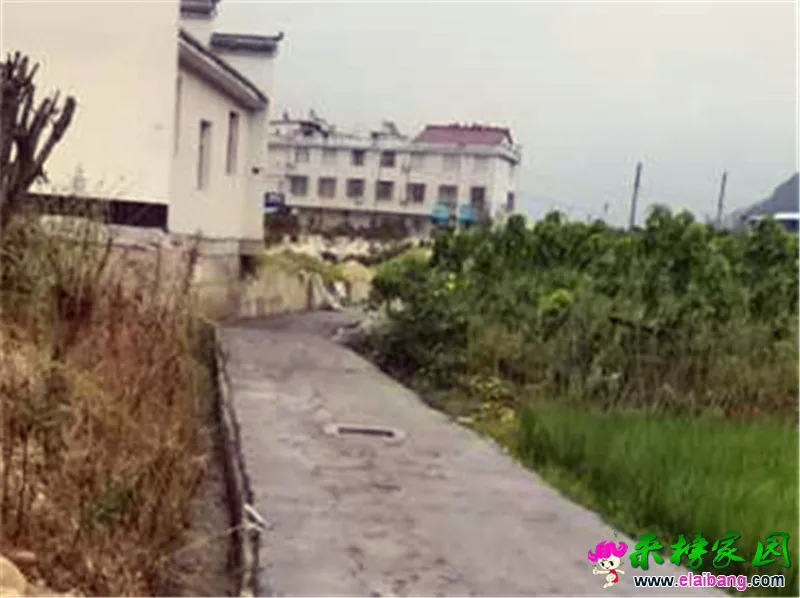 微信图片_20200806214025.webp
