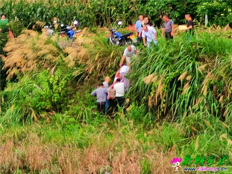 微信图片_20200809171909.webp