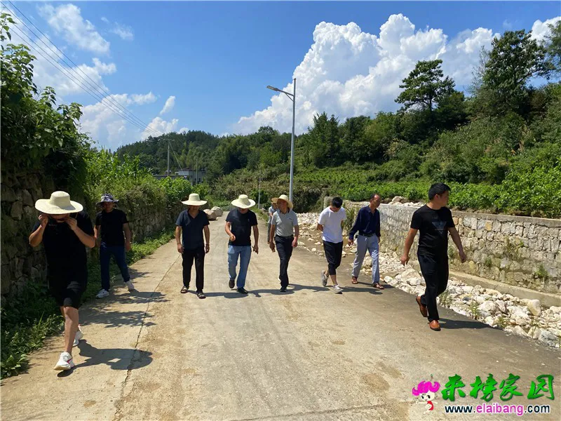 微信图片_20200817194216.webp