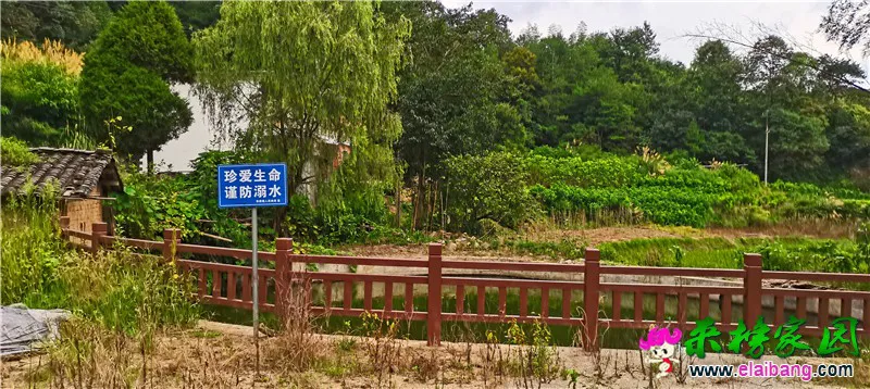 微信图片_20200819214350.webp