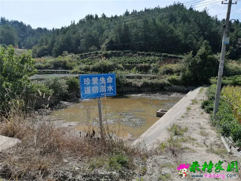 微信图片_20200820192539.webp