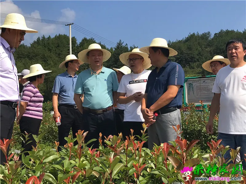 微信图片_20200820192546.webp