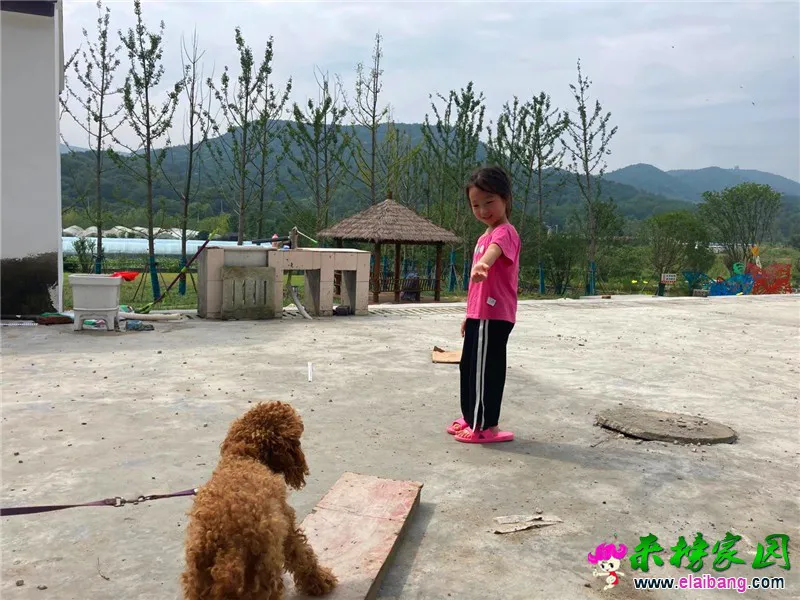 微信图片_20200821204416.webp